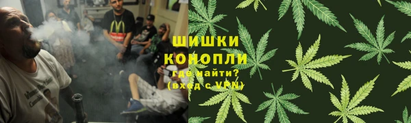 мдпв Лиски