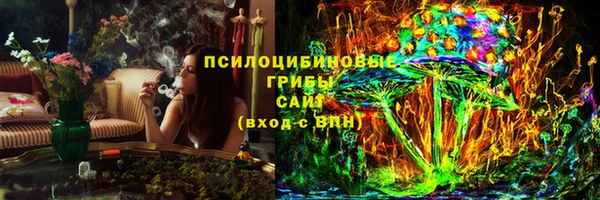 гидра Липки
