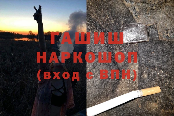 сатива Лабытнанги