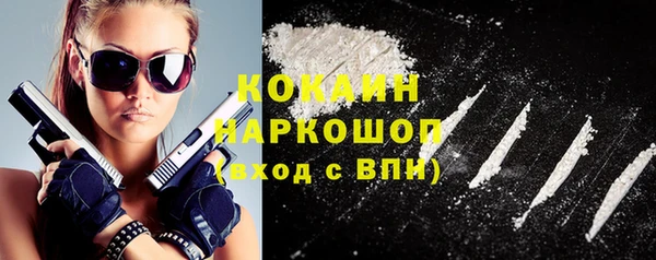 гидра Липки