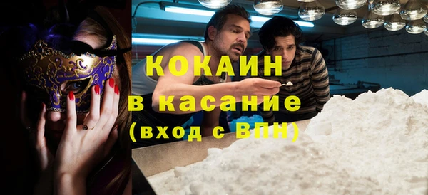 гидра Липки
