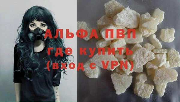 твердый Майский