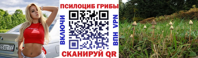 магазин  наркотиков  Лермонтов  blacksprut   Псилоцибиновые грибы мухоморы 